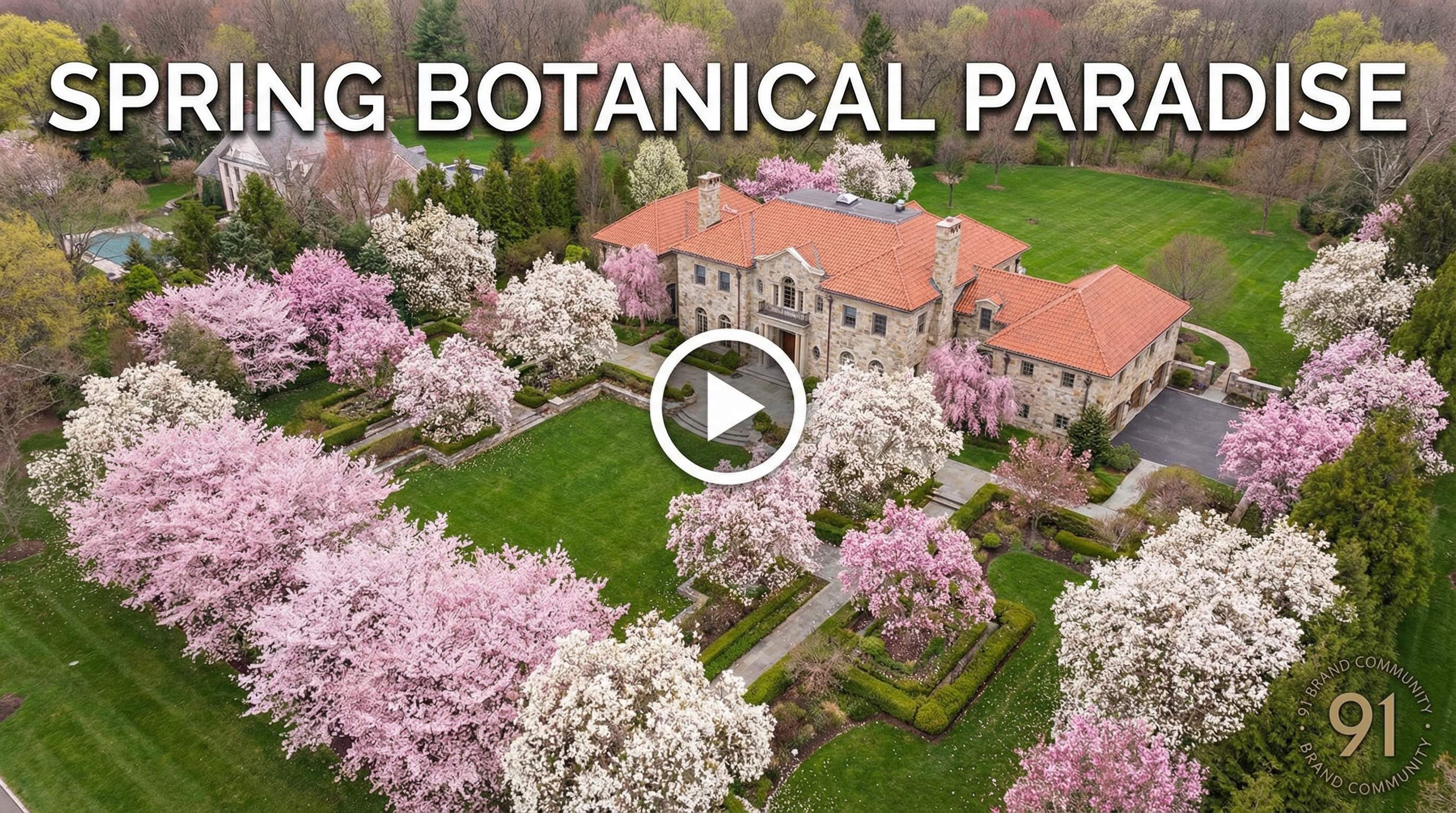 四虎视频植物视频